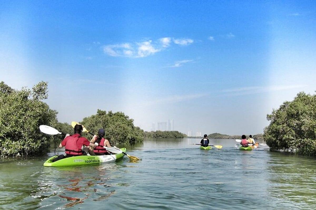 mangrove-kayaking_1